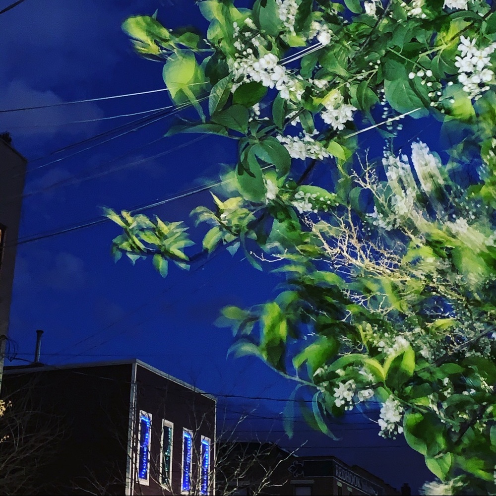 Meet your Posher, Amaya